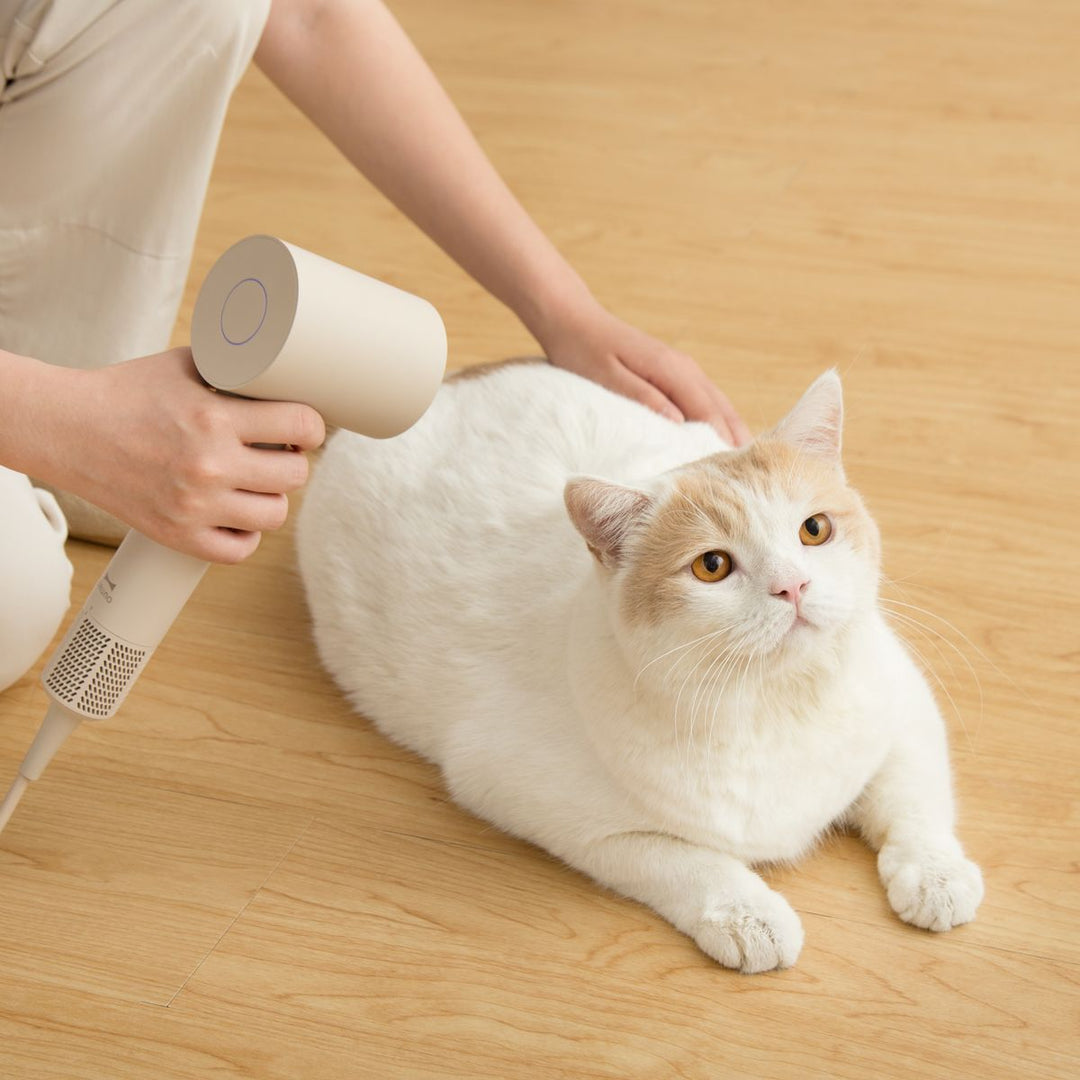 BRUNO 全球電壓高速風筒 (100-240V) | BAK811