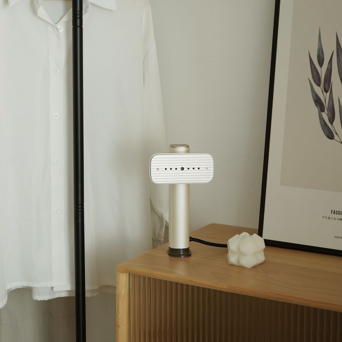 BRUNO 全球電壓手提掛燙機 | BAK818