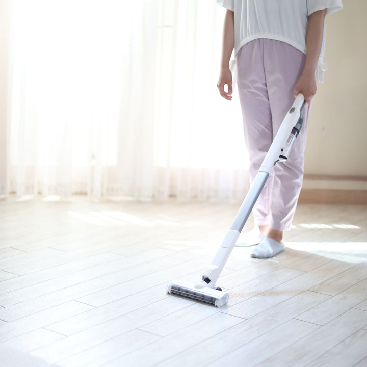 Doshisha 極輕量纖薄電動刷頭吸塵機 | DSV-025C