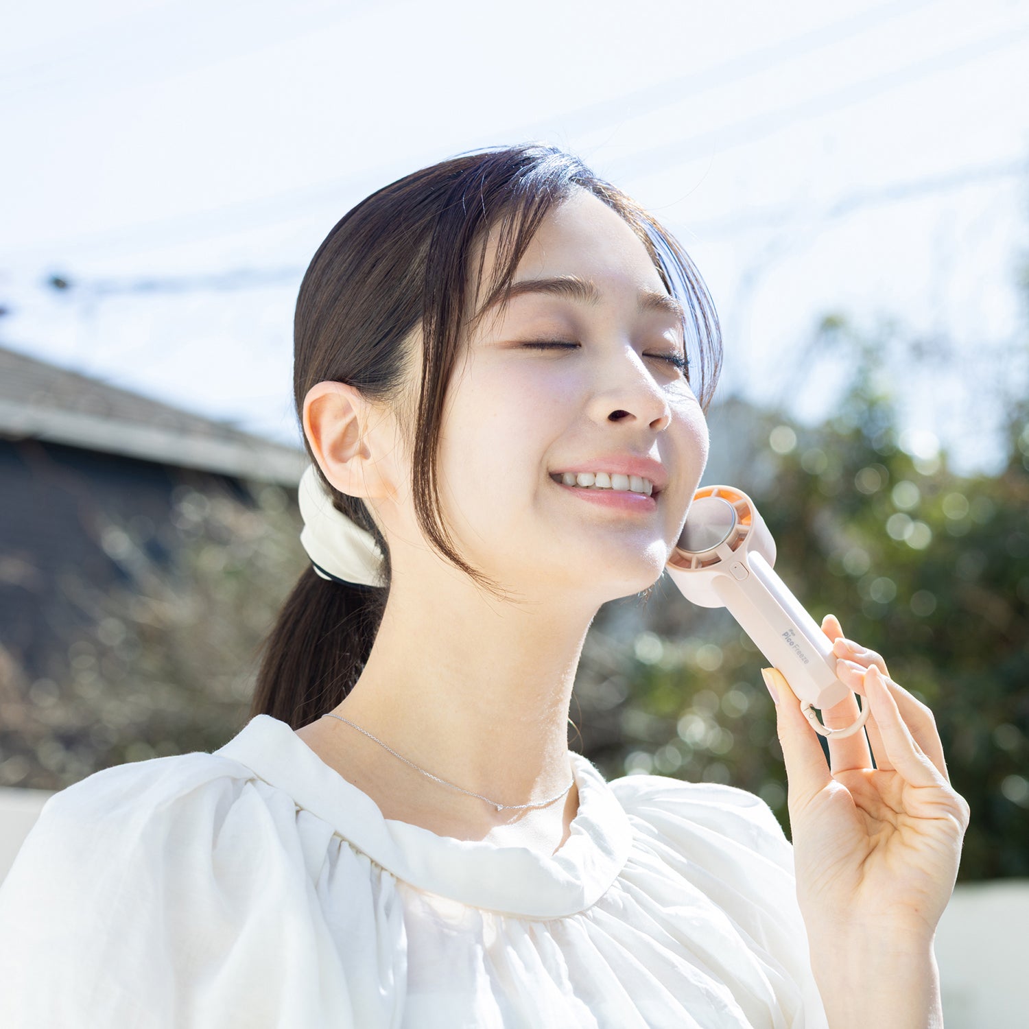 ELAiCE iFan Pico Freeze 冷凍板風扇 EK-IF-PCF25