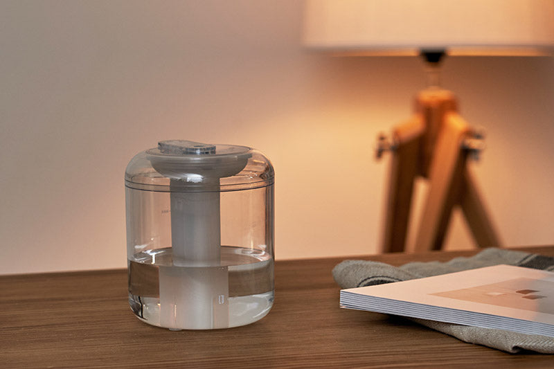 Rechargeable Mini Clear Humidifier with LED Light LCAHF006