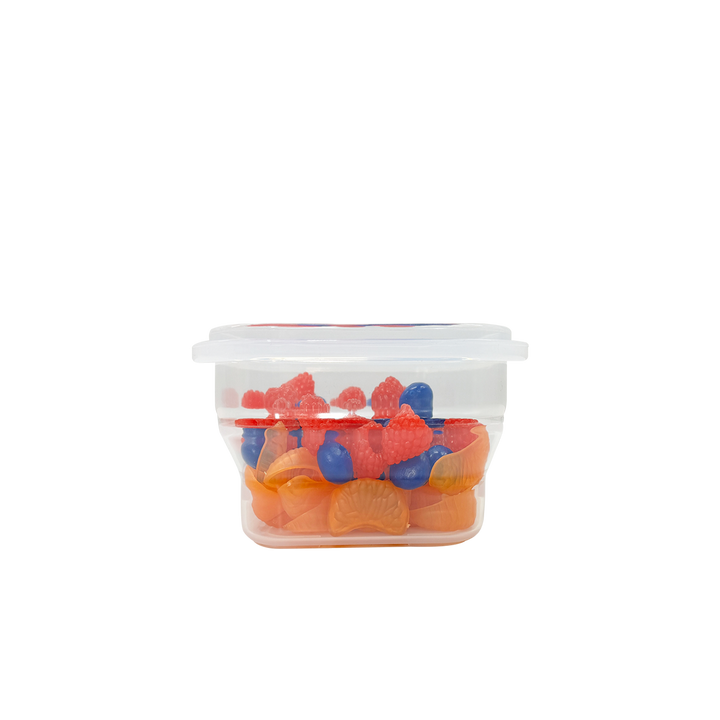 Living Creator Collapsible Silicone Food Container 900ml