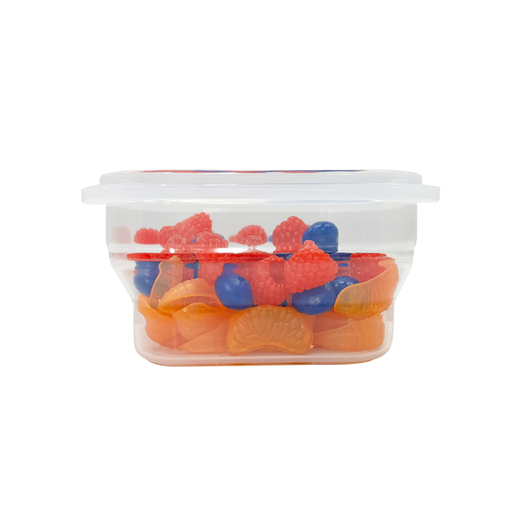 Living Creator Push Lock Collapsible Silicone Food Container 600ml