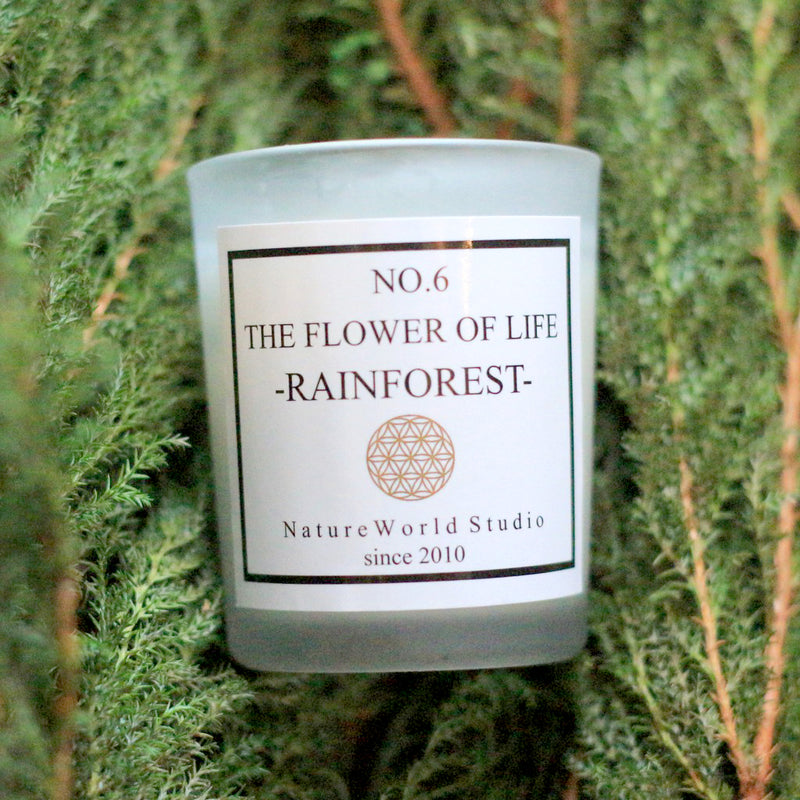 Nature World Scented Candle 65ml - Rain Forest